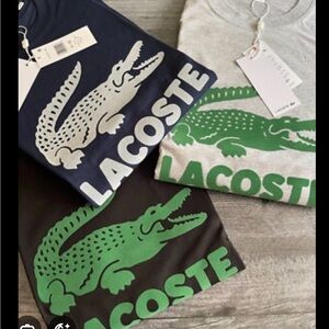 Lacoste Crocodile Logo T-Shirts in only Gray.